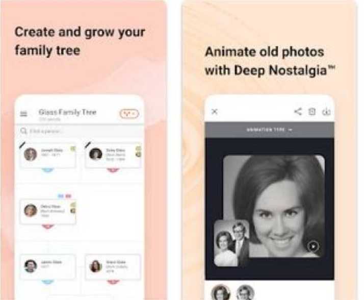 Download APK My Heritage